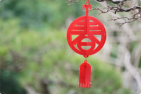 Wishing you a happy Spring Festival!